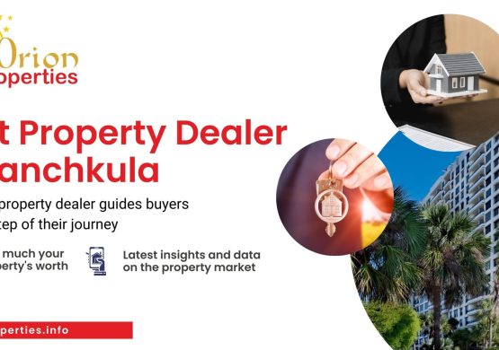 Best Property Dealer in Panchkula
